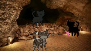 ➛ Коты Воители - Восход Луны | в двух словах | второй цикл