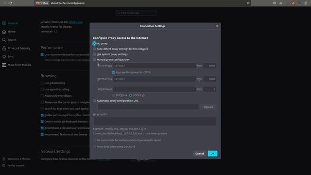 Как настроить браузер и берп, чтобы они работали на одном адресе и одном порту. смотреть онлайн