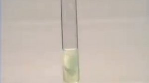 гидроксид  железа   2﻿