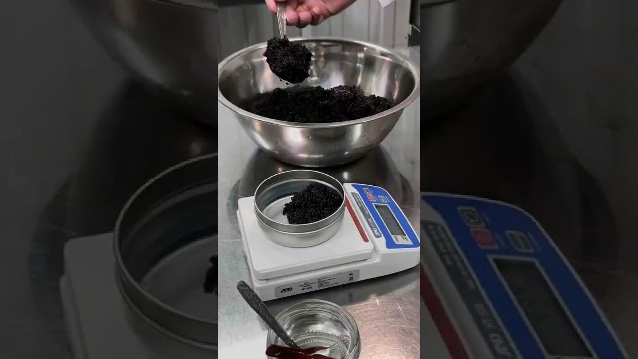 Настоящая астраханская черная икра. От производства до потребителя #shorts смотреть онлайн