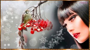 РЯБИНА - ст. Н. Аникеева, муз. И. Плахута, исп. А. Заветная