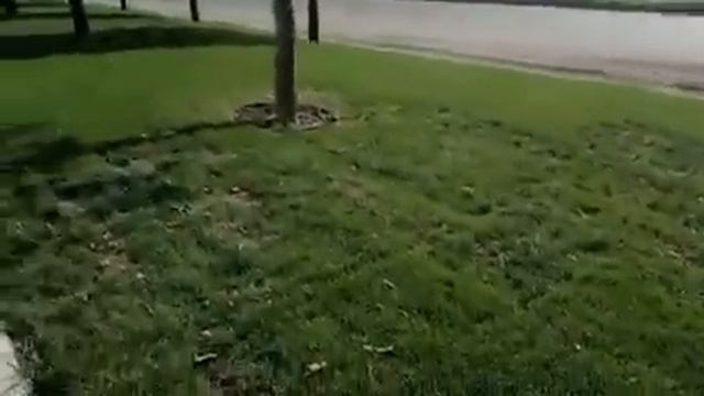 Восточно-кругликовская смотреть онлайн