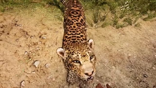 Evolution Of Fangs For Hire And Rideable Creatures In Far Cry смотреть онлайн