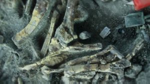 13 регион Амурская область