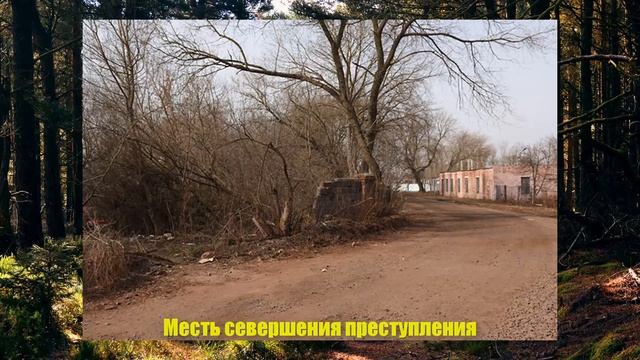Трагическая история Елизаветы Безъязыковой смотреть онлайн