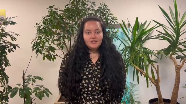 видео отзыв по моей работе от компании Nalog.nl смотреть онлайн