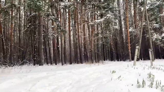 Малые города России/Яранск/Лучший дом Кировской области/Аллея Славы/Как я в гости попала? смотреть онлайн