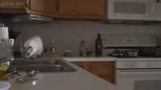 Увидел посуду, которую нужно помыть смотреть онлайн