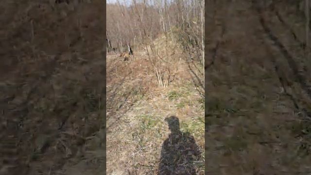Срочно тамошо кунен то охирша смотреть онлайн