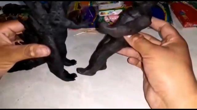 🔥¡KING KONG Y GODZILLA DE PLASTILINA! (MIRA COMO QUEDARON) смотреть онлайн