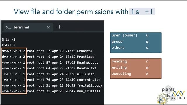 Plants & Python - Command Line Lesson 08. Word Count, Pipelines, Permissions смотреть онлайн