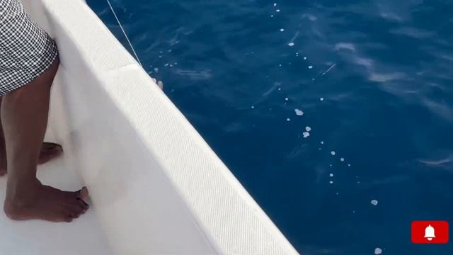 Рыбалка на Мальдивах 2023, Ханимааду. Maldives Fishing Hanimaadhoo #fishingvideo #jigging #popping