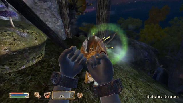 A Scanlon for Mirili Ulven - Oblivion Highlight смотреть онлайн