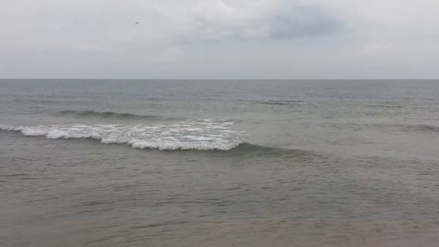 ДЕЛЬФИНЫ смотреть онлайн