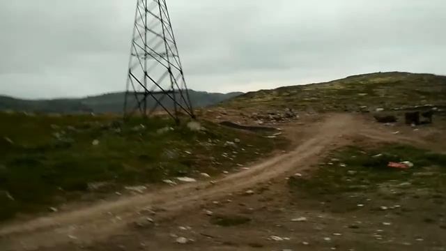 Медведи в Дальних Зеленцах. Часть 1. смотреть онлайн
