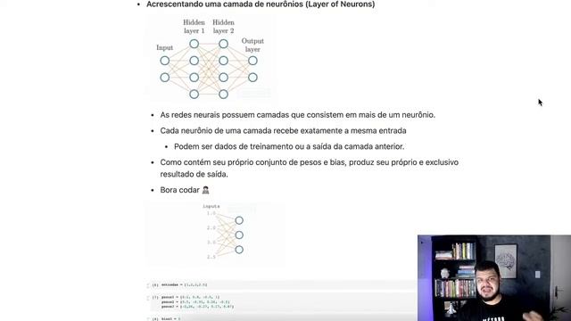 Construindo uma REDE NEURAL do ZERO usando PYTHON смотреть онлайн
