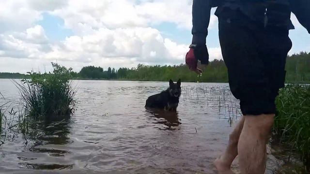 VID 20220612 125939 смотреть онлайн