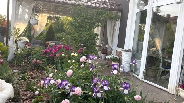 Прогулка по саду начало июня 2023 смотреть онлайн