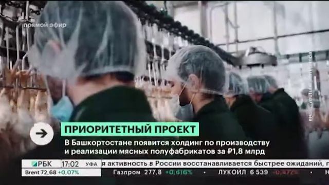 В Башкортостане появится холдинг по производству и реализации мясных полуфабрикатов за ₽1,8 млрд смотреть онлайн