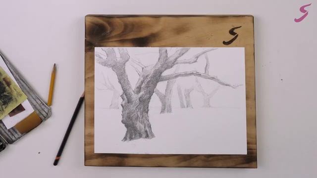 Рисунок. Графика. Деревья. Световоздушная перспектива-2 смотреть онлайн