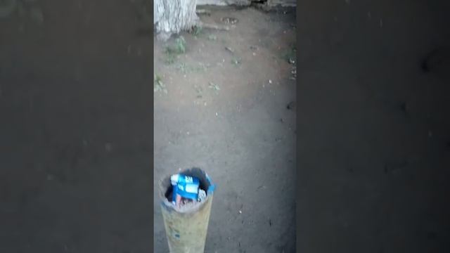 Лень. Лень дело хорошее. Прогресс. смотреть онлайн