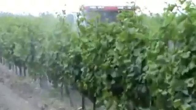 Опрыскиватель садовый ВолгоградАгроСнаб смотреть онлайн