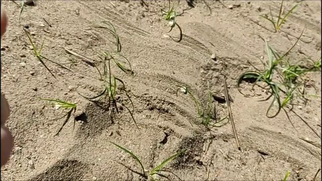 Пляж4! пляжное золото! смотреть онлайн