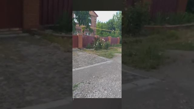 Приключение🌿 смотреть онлайн