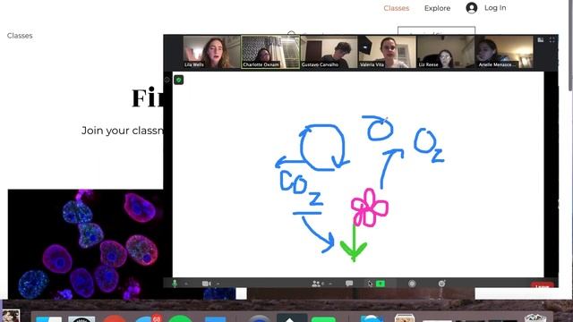 Tech Labyrinth's winning presentation from McCormick Design-A-Thon 2020 смотреть онлайн