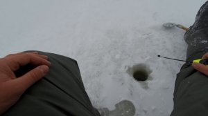 Озёрный окунь на мормышку. Рыбалка в Алтайском крае.