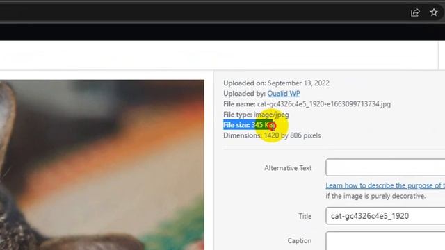 How To Find out an Image Size in WordPress смотреть онлайн