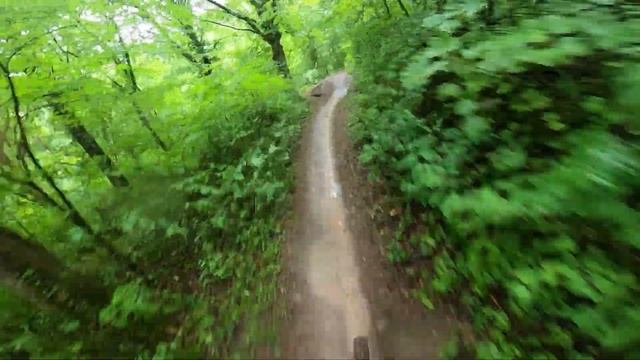 Winding Trails 2020 Herrenberg #clips #training смотреть онлайн