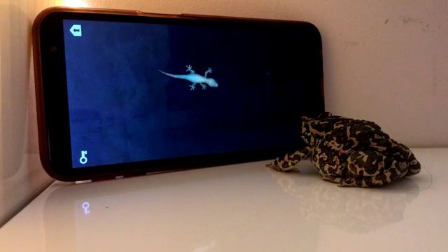 жаба зелёная играет в игры на телефоне смотреть онлайн