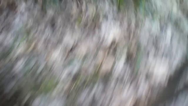 вечерний поиск монет в лесу по старым местам металлоискатель ака берут 5 смотреть онлайн