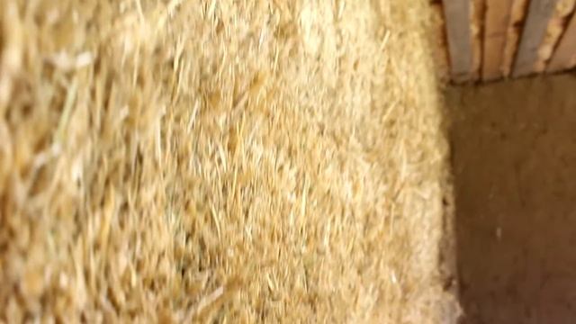 Дом из соломенных блоков. Подготовка к глиняной штукатурке.Ровные стены. Своими руками. смотреть онлайн