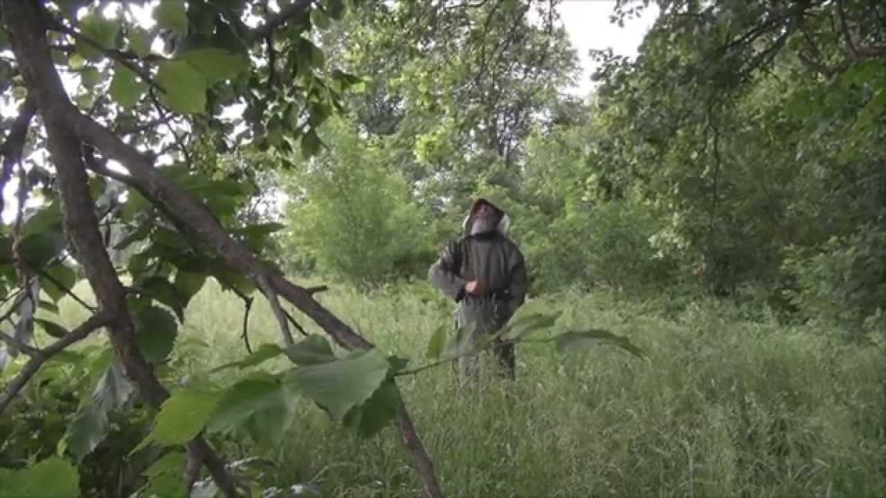 ДИК - детское игровое кино смотреть онлайн