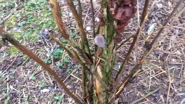 Новости и Аналитика