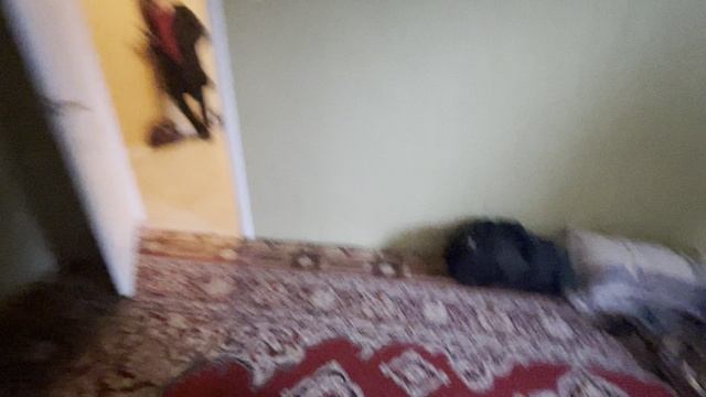26-02-2024 смотреть онлайн