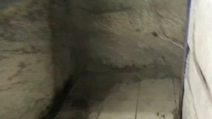 Газ 21 - развал-схождение