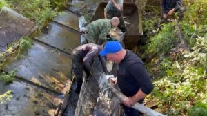 БУДНИ РЫБХОЗА! СПУСКАЕМ ПРУД И ЗАРЫБЛЯЕМ 400КГ в НОВЫЙ! ВЕСЛОНОСЫ, ЩУКИ и МНОГО КРУПНОЙ РЫБЫ!