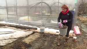 Апрельская посадка картошки по-хабаровски // Вырасти и съешь