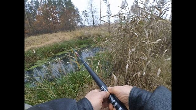 РыбалкА. Клёв окуня на боковой кивок, в ноябре. смотреть онлайн