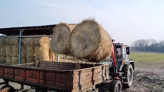 Тракторные телодвижения. ? смотреть онлайн