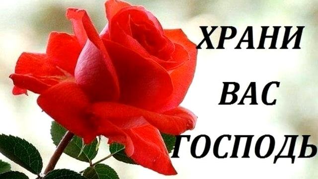Стихи для Души Евгений Евтушенко Спешка Века смотреть онлайн
