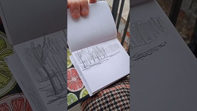 Зарисовка с натуры, зачем? Художник Фёдор Усачёв смотреть онлайн