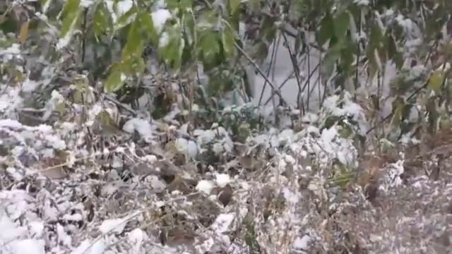9-10 октября 2015 года. Первый снег в Краснослободске, ул.Интернациональная смотреть онлайн