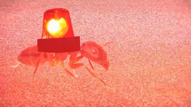 Abnormally Large Animals You Won't Believe Exist смотреть онлайн