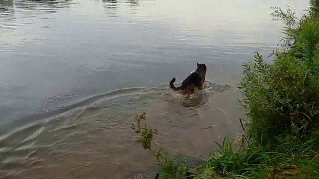 ЖАРКИЙ ЛЕТНИЙ ДЕНЬ