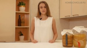 Где взять чайный гриб (SCOBY) и как его вырастить с нуля?