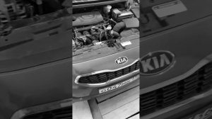 KIA CEED | Установка би лед линз и замена всех ламп на диодные